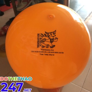Bóng chuyền hơi Đầu Trâu