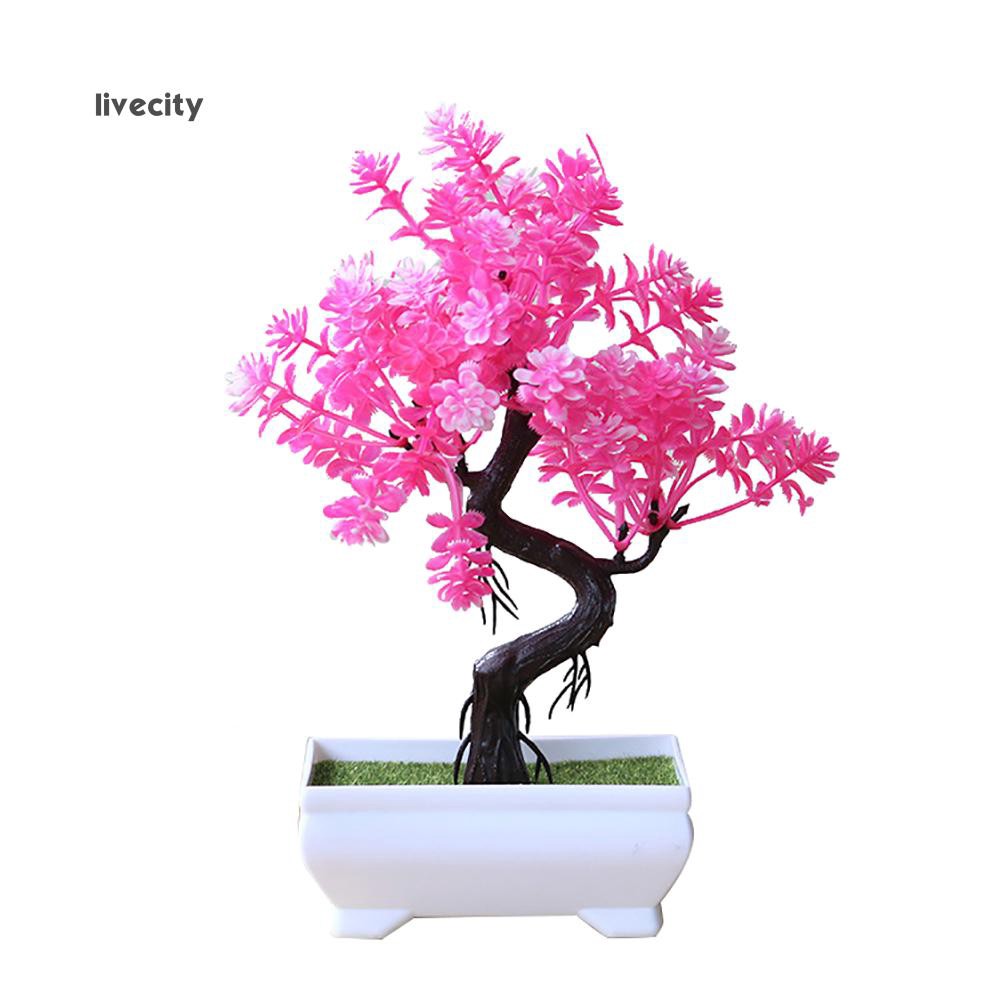 Mô hình cây bonsai giả dùng trang trí