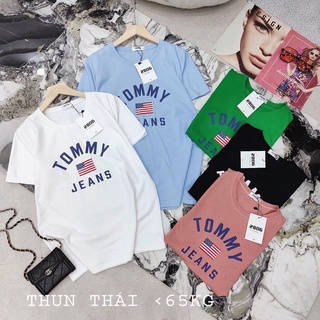 Áo thun thái chất mát mịn free size 45>65ki (ko đẹp hoàn tiền )