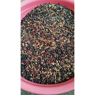 Sỉ giá gốc trà gạo lứt đỗ đen 1kg