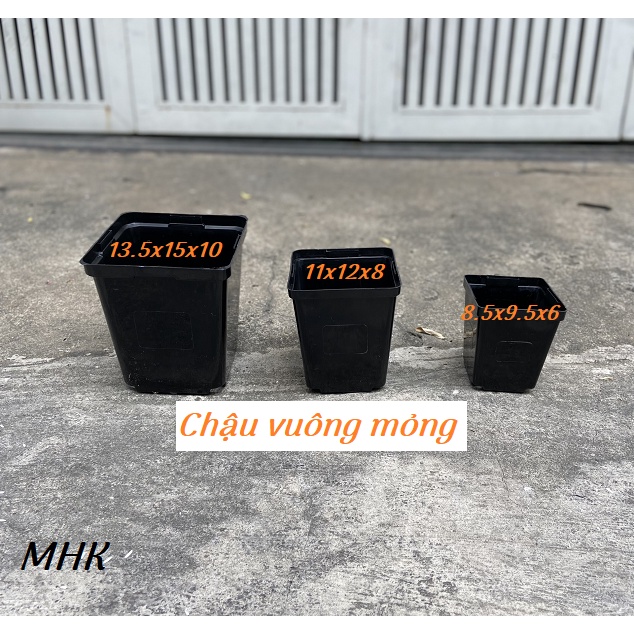 Chậu vuông nhựa mỏng size Đại (13.5x15x10) cm !