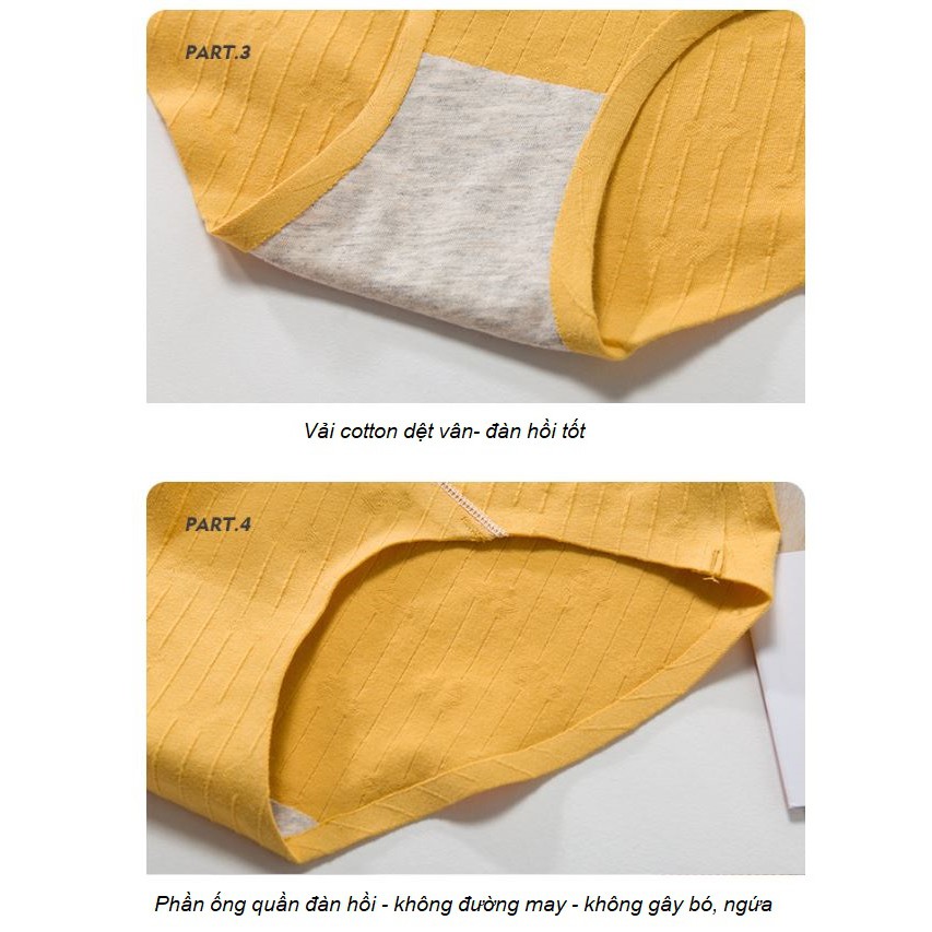 Quần Lót Cotton Kháng Khuẩn Giấu Viền Cạp Chéo P157