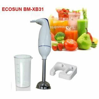 MÁY XAY SINH TỐ CẦM TAY ECOSUN BM-XB31