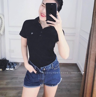 Áo phông cổ bẻ