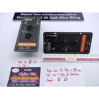 Trạm loa sắt 7cm x15cm 2 cái Audio Châu Gia
