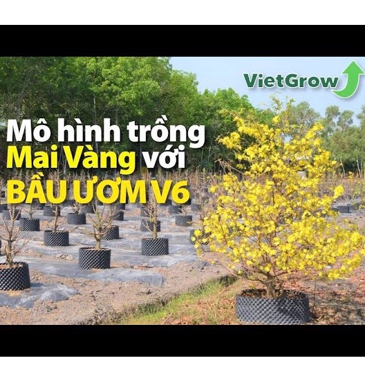 Bầu ươm cây V6 cao 50cm loại dày  nhựa bầu cây - kèm bộ vít bắt