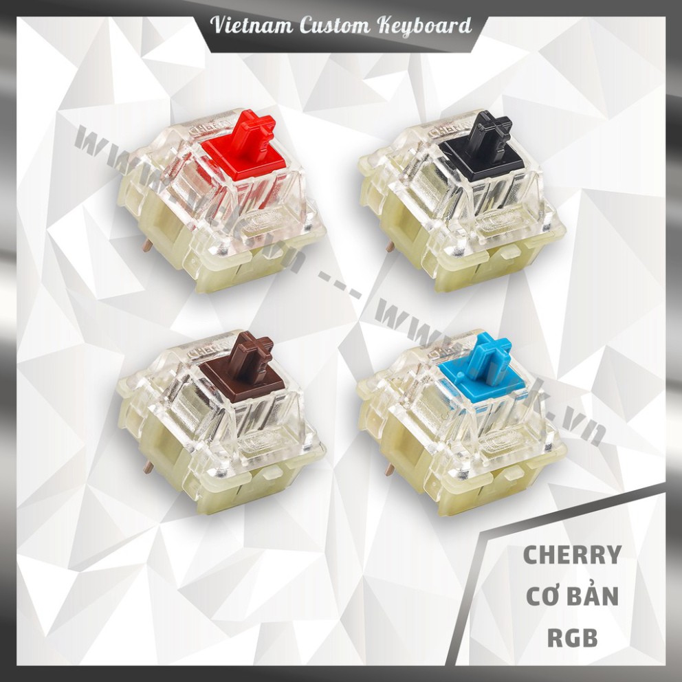 8 Loại Cherry Switch Cơ Bản | Cherry RGB | Cherry Black Retooled | vck.vn
