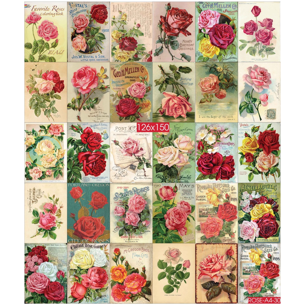 Combo Set 30 tờ Decal dán tường chủ đề Flower Rose A3,A4,A5