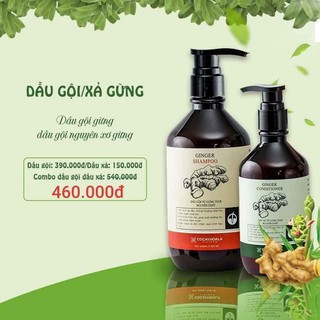 DẦU GỪNG CỎ CÂY HOA LÁ