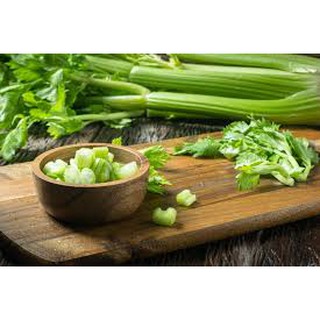 Hạt giống Cần tây Thera 5gr❤️FREESHIP XTRA❤️