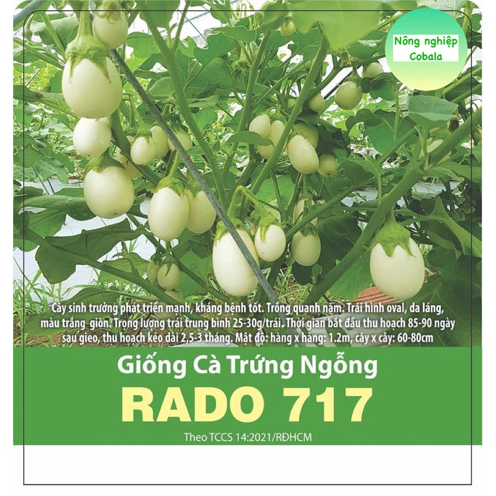 Hạt Giống Cà Trứng Ngổng 0.5gr