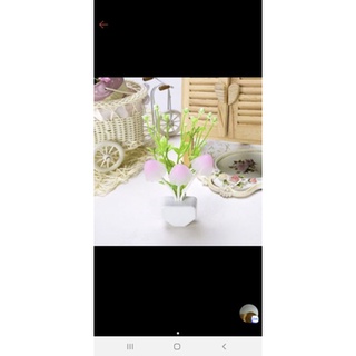 Đèn ngủ cảm ứng Nấm hình bình hoa