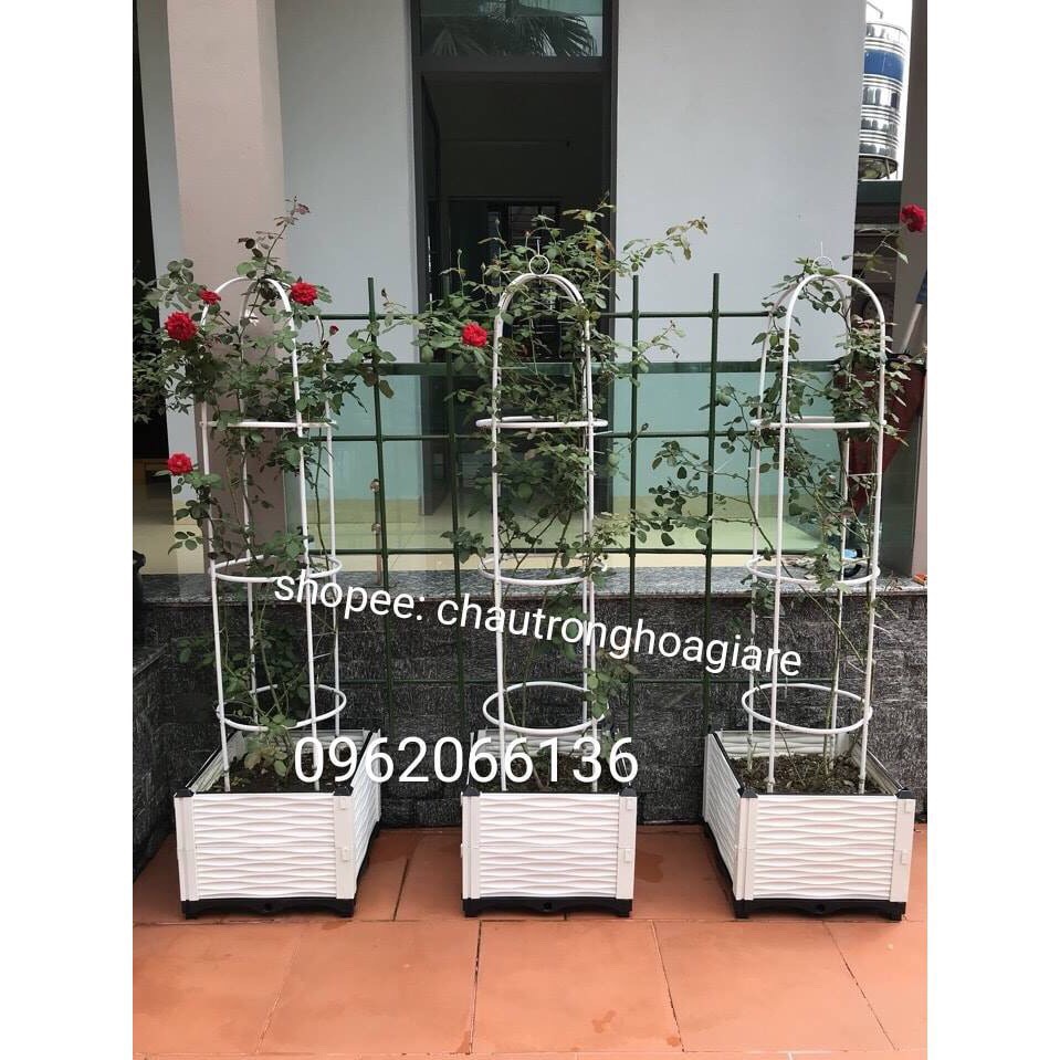 Khay ghép trồng cây thông minh KT 50x50x72(4 vách) siêu đẹp