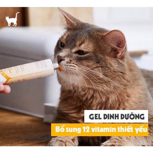 GIMCAT GEL DINH DƯỠNG BỔ SUNG MULTI-VITAMIN IMMUNE - BOOSTER COMPLEX 200g
