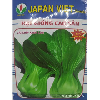 Hạt giống cải chíp xanh lùn