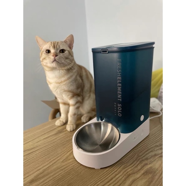Máy thức ăn tự động Petkit Fresh Element Solo cho chó mèo