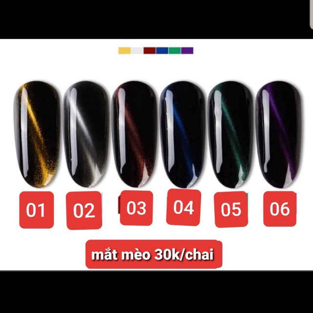 set sơn as măt mèo cao cấp