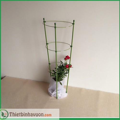 [RẺ] Giá đỡ hoa hồng, hoa leo đa năng cao 75cm, đường kính vòng tròn 25cm