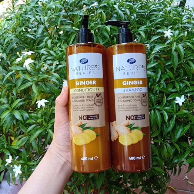 COMBO SET DẦU GỘI XẢ TRỊ RỤNG TÓC GINGER BOOTS THÁI LAN