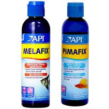 Thảo dược chăm sóc cá cảnh Pimafix Mỹ