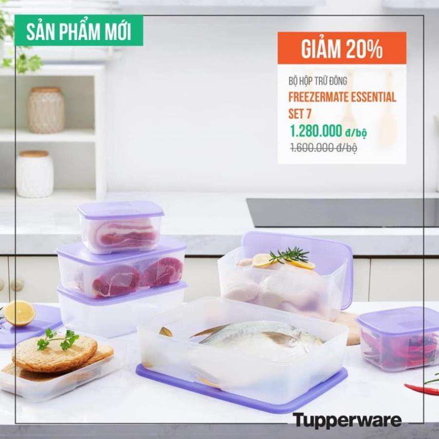 Bộ 7 hộp trữ đông nắp tím Tupperware Essential fit 7- hàng chính hãng tupperware phân phối tại VN