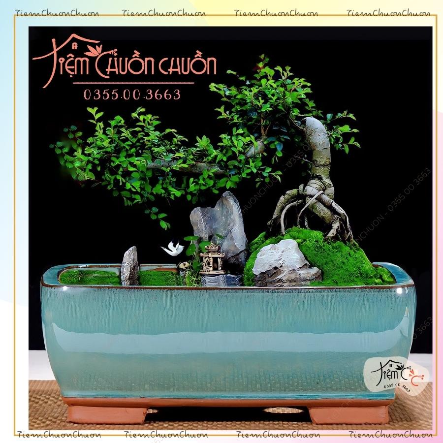 Chậu Bonsai Hộp Chữ Nhật Siêu Lớn Men Bát Tràng, Tiệm chuồn chuồn - Chậu sứ Trồng cây