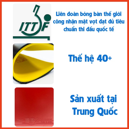 Mặt Vợt Bóng Bàn MALIN II Nội Địa Trung Phiên Bản Có Dấu Quốc Gia