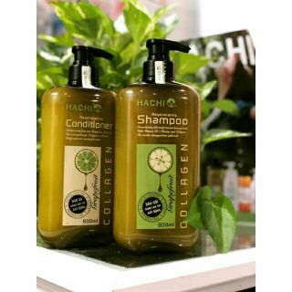 [RẺ VÔ ĐỊCH] 800ML - DẦU GỘI HACHI DÀNH CHO TÓC RỤNG/ TÓC DẦU/ TÓC GẦU/ TÓC HƯ TỔN