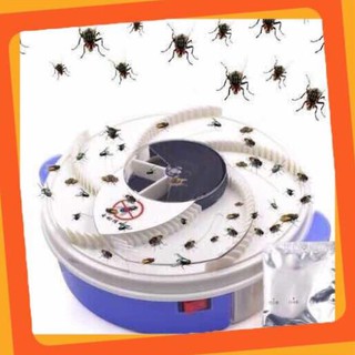 [HOT] Máy Bắt Ruồi Tự Động Thông Minh