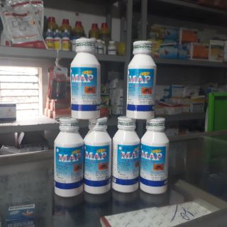 Thuốc diệt muỗi  Permethrin 50Ec àn toàn hiệu quả