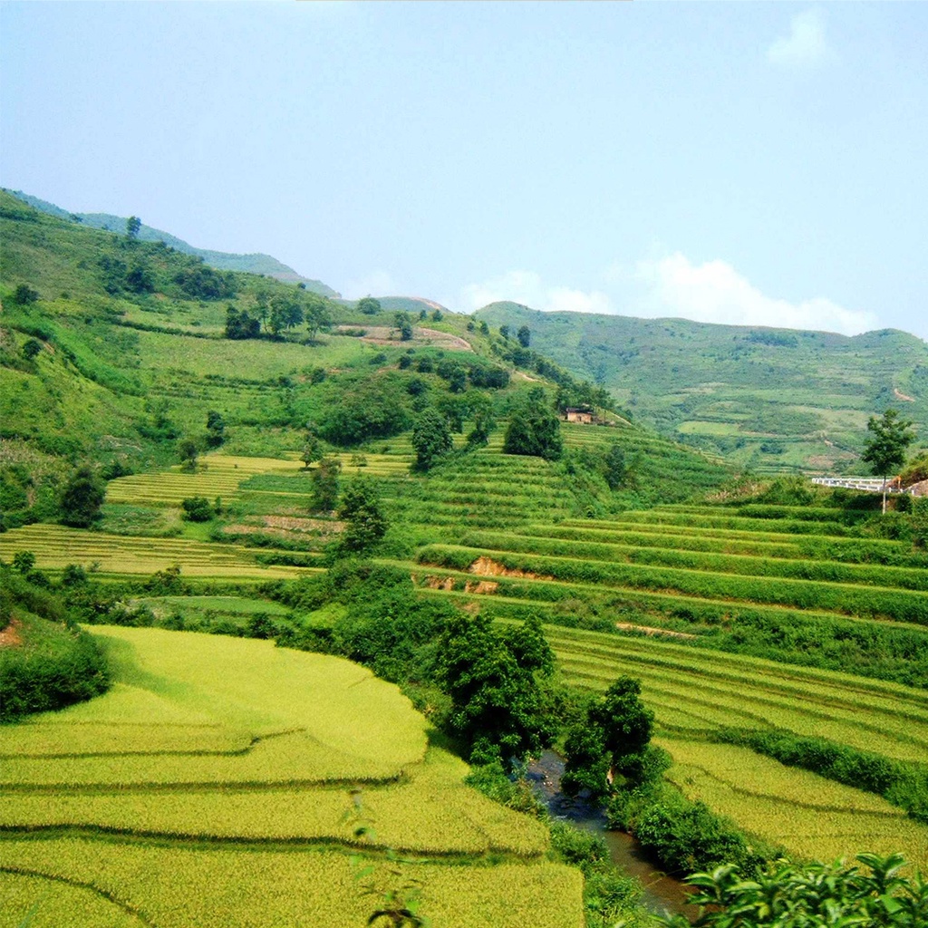 Hà Giang  Tour Hồ Chí Minh - Hà Giang - Sông Nho Quế 4N4Đ