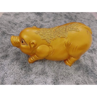 Heo Đất Khổng Lồ, Lợn Đất Ngọc Trinh dài 70cm