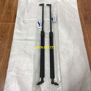 Ty chống cốp hậu   Ford Escape