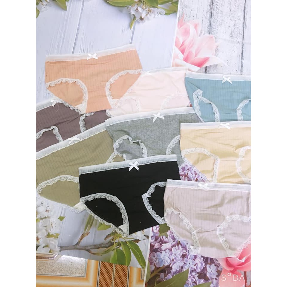 (Freesize, chọn màu) Quần lót nữ cotton băng ren thoáng khí kháng khuẩn cao cấp siêu thoải mái | BigBuy360 - bigbuy360.vn