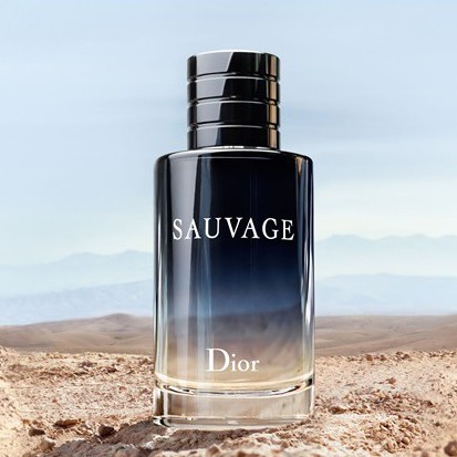 [CAM KẾT CHÍNH HÃNG] Nước Hoa Sauvage, nước hoa nam chính hãng - Mùi thơm cực kỳ nam tính, sang trọng | BigBuy360 - bigbuy360.vn