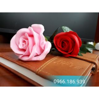 Combo nguyên liệu và phụ kiên 02 bình lan