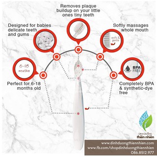 Bàn chải đánh răng Radius cho bé 6 tháng