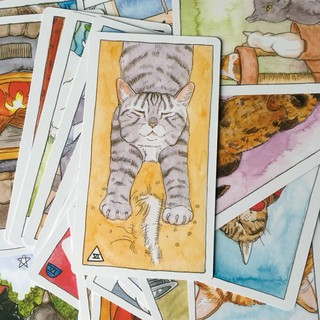 Aiary 78 Cat Tarot Cards