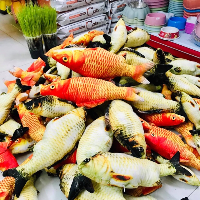 Cá catnip đồ chơi cho mèo