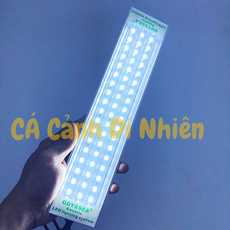 Đèn led máng ODYSSEA SLIM X 600 ánh sáng 10000k cho hồ cá 60-80 cm