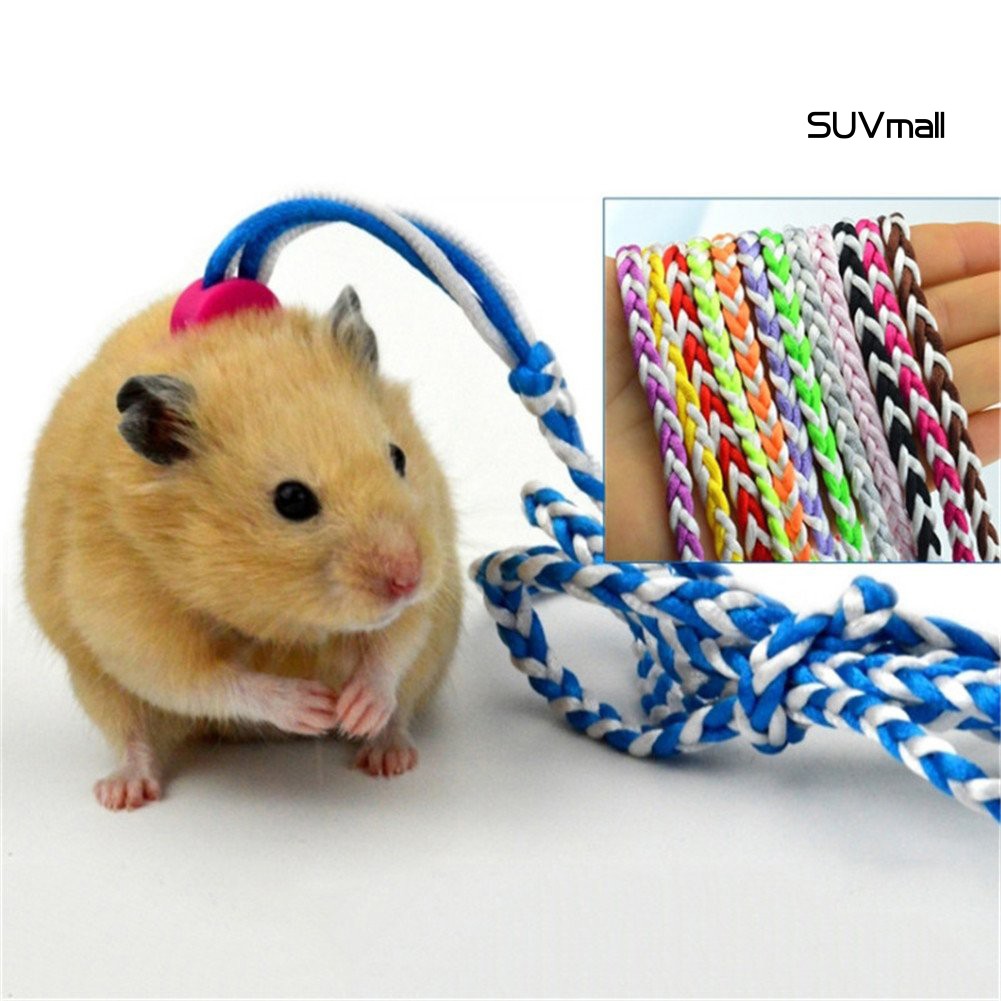 Dây đeo cổ xinh xắn cho Chuột Hamster Suv-1.4 / 2m