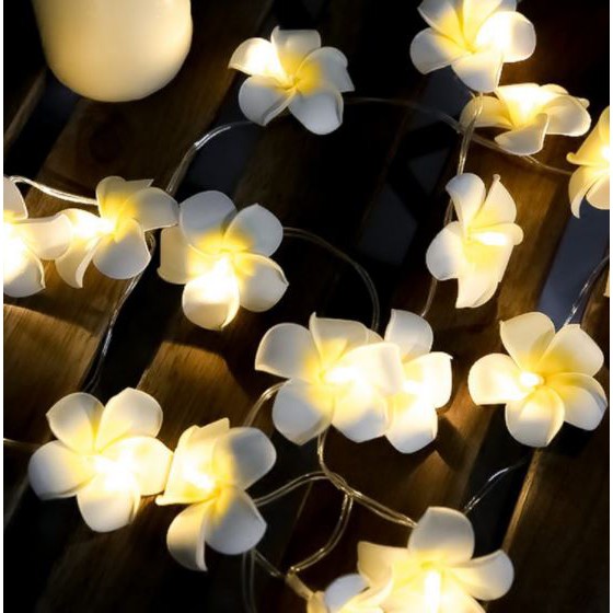 [SẴN - ẢNH THẬT] Đèn LED hoa sứ đẹp lung linh 20bông dùng điện, dùng pin trang trí tiệc cưới quán cafe, đạo cụ chụp hình