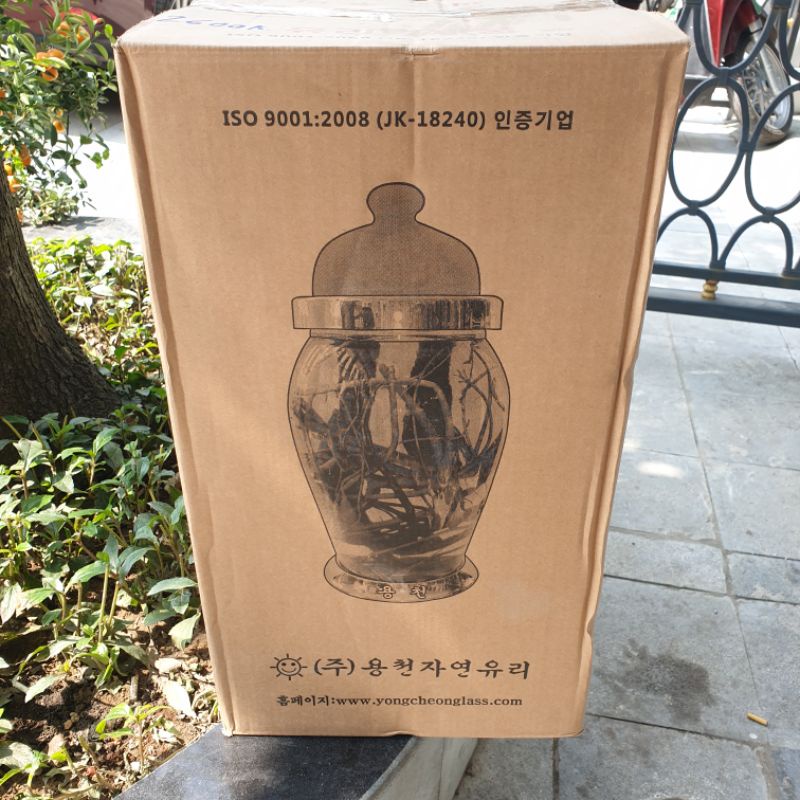 Bình Ngâm Sâm Hàn Quốc Dáng Cao 90cm
