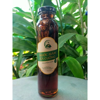 [Đặc Biệt] Nước Mắm Cà Cuống Thượng Hạng