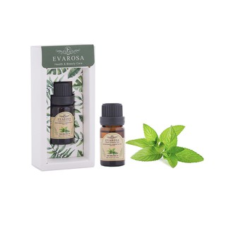 Tinh dầu bạc hà evarosa chai 10 ml