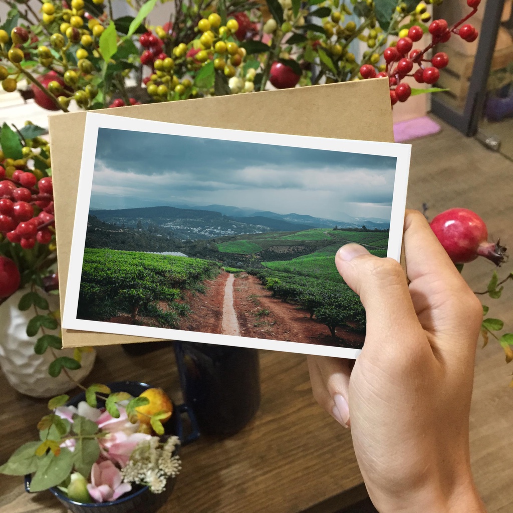 Postcard, Thiệp trang trí, quà tặng lựu niệm chủ đề  Việt Nam - P2, Tặng kèm bì thư giấy Kraft