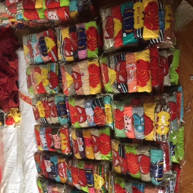 100q bozip