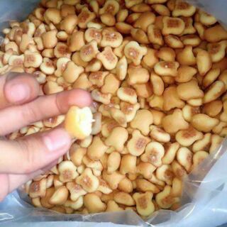 Bánh gấu thiên hồng 900gr