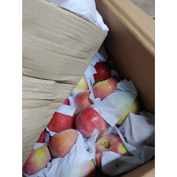 HCM Free Ship - 3kg Táo Đá Đặc Sản Tây Bắc Thơm Ngon