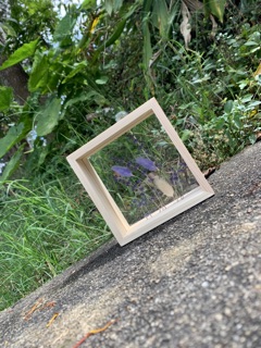 Khung ảnh hoa lavender